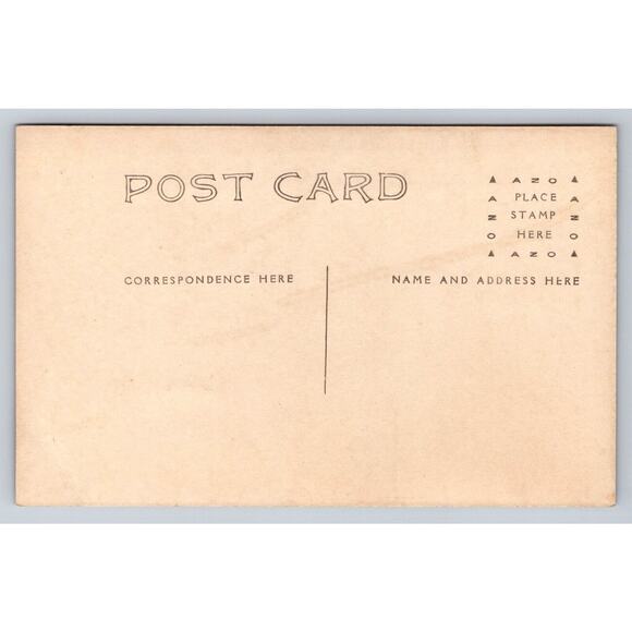 Old Real Photo Postcard Woman of Leisure Fancy Hat Horse Buggy Fur Blanket RPPC - Picture 2 of 2